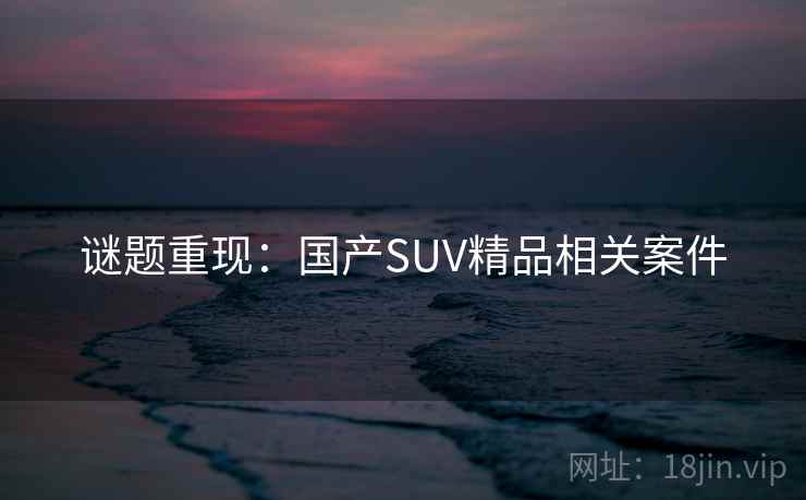 谜题重现:国产SUV精品相关案件